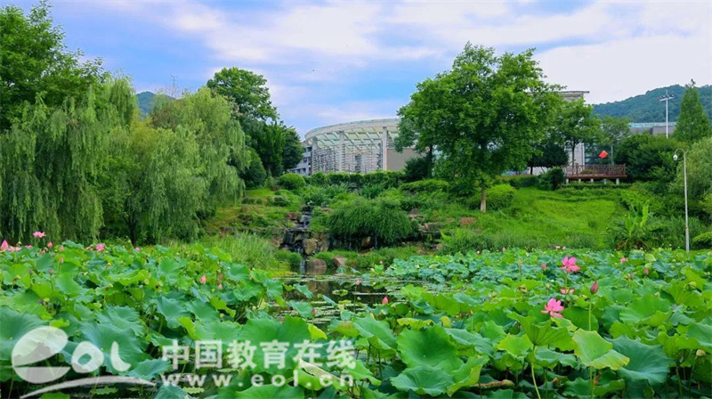 招办面对面杭州科技职业技术学院：省内计划招生3943人十大理由值得报考！(图6)