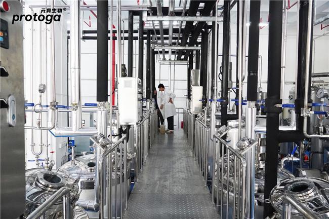 创新微藻蛋白:元育生物引领绿色食品产业的破晓之光(图3)