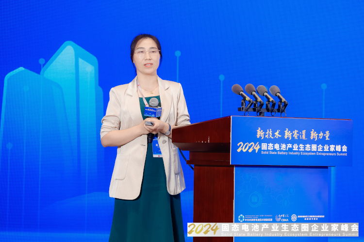 升级与迭代趋势已来！多位行业大咖固态电池峰会“亮剑”(图14)