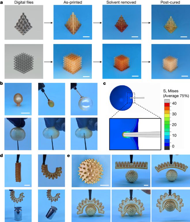 浙江大学最新Nature！(图5)