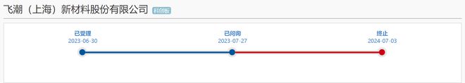 飞潮新材IPO撤单：何氏兄弟控股8769%多名近亲属持股并任职遭问询(图1)