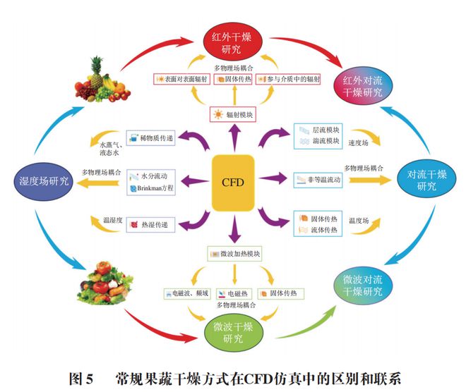 《食品科学》：石河子大学杨旭海副教授等：计算流体力学在果蔬干燥领域的研究进展(图9)