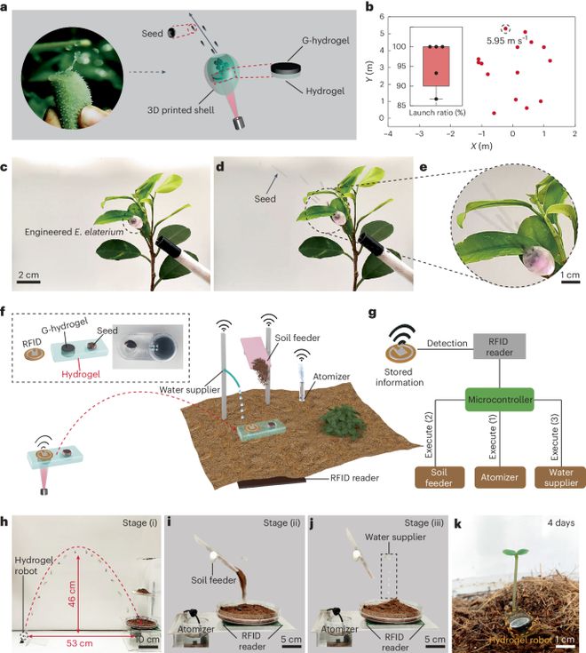 会“买球网站：喷射”的仿生水凝胶登上NatureMaterials!(图5)