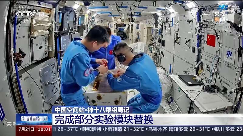 十大买球平台：别忘了咱太空还有三位航天员在“出差”呢！他们最近在忙什么？(图1)