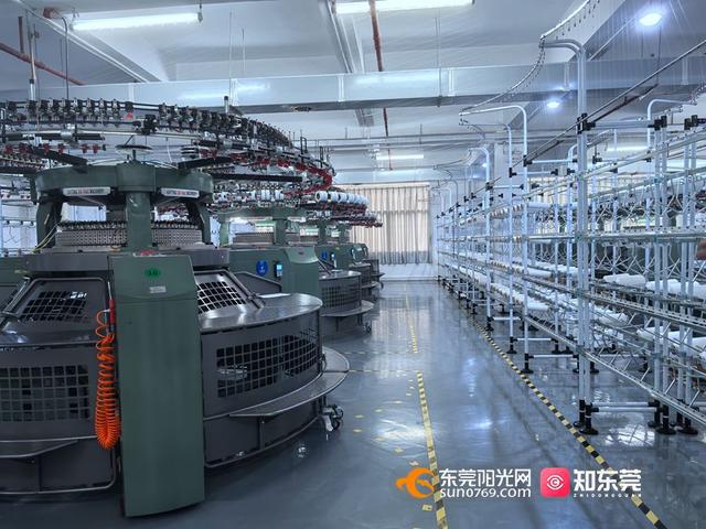 东莞年中经济观察④东莞加快推动工业技改传统产业“焕新”步履不停(图2)