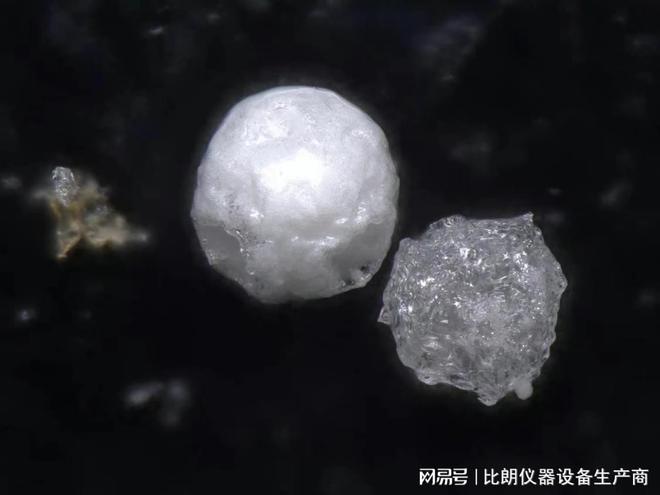 喷雾冷冻干燥机:结合了喷雾干燥机和冷冻的优点(图3)
