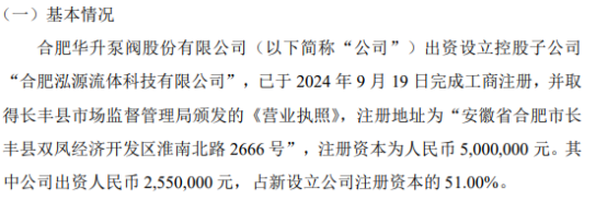 华升泵阀拟投买球网站：资255万设立控股子公司合肥泓源流体科技有限公司持股51%(图1)