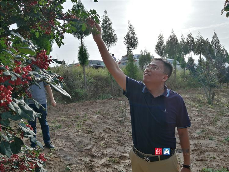 城阳区棘洪滩街道“利和萃取”：打造东西协作精准产业扶贫的“城阳样板”买球网站：(图5)