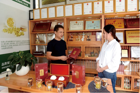德化县：延伸链条油茶产业攀高向新(图3)