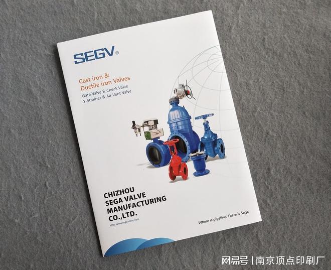 南京高档烫金画册印刷-南京凹凸工艺手册印刷-彩页买球网站：(图3)