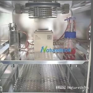 Naturethink内皮细胞流体剪切力刺激培养仪细胞力学加载_江西(图1)