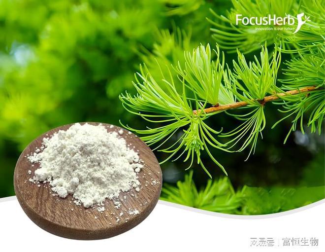 探秘二氢槲皮素：天然的健买球的app:康宝藏富恒生物(图1)