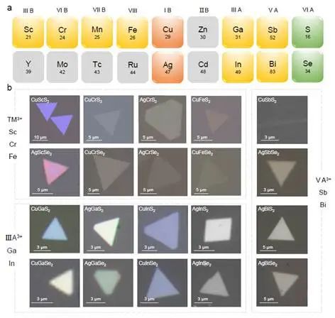 买球的app:华中科技大学翟天佑、周兴团队报道离子-电子耦合型二维材料的普适性合成(图2)