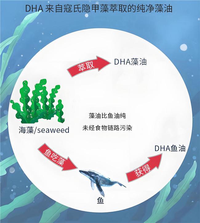 天然博士DHA为Life’sDHA金标唯一授权产品(图2)