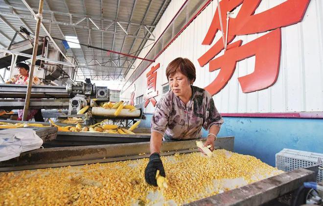河南平舆县：“三园”同构促就业买球网站：(图2)