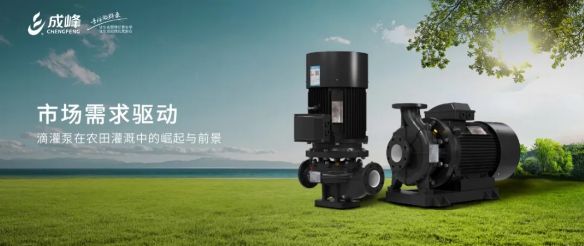 上海成峰受邀出席RIDC2024房地产创新发展大会暨年度盛典(图5)