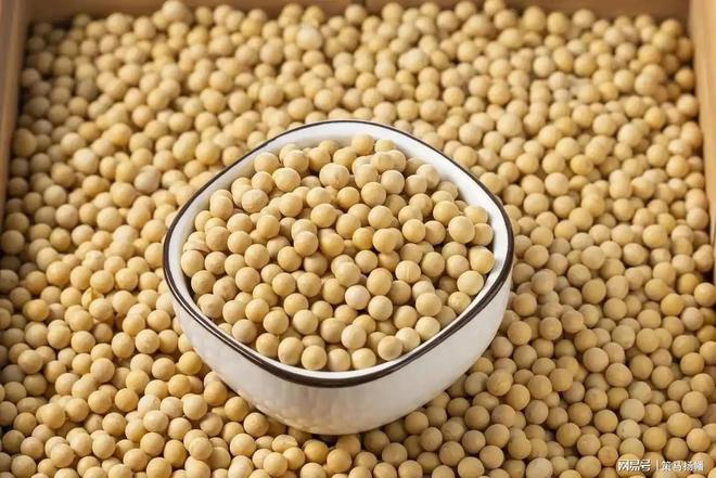 美国大豆开始“甩卖”中国这次拒不买单！当年控制大豆的底气呢(图1)
