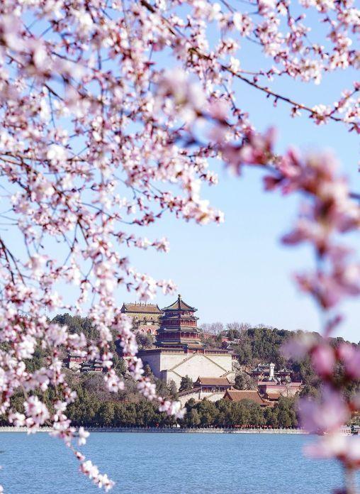 四川国旅高新第二分社：秋天的北京宁静而深远(图1)