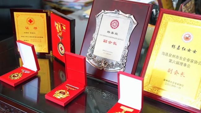 惠安县女企业家联谊会会长杨嘉红：若用建筑比喻“惠女精神”我选斜拉桥(图3)