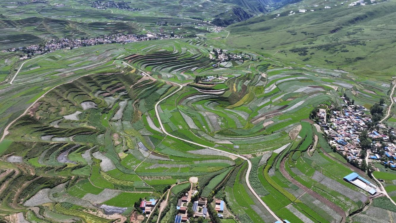 甘肃漳县：特色产业绘就乡村振兴新图景(图1)
