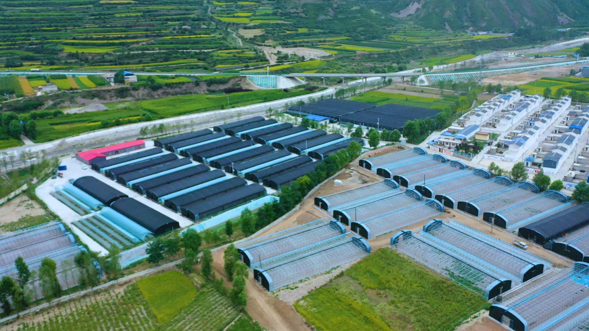 甘肃漳县：特色产业绘就乡村振兴新图景(图2)