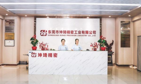 从跟跑到领跑：坤琦精密专注国产封装模具的破壁之路(图1)