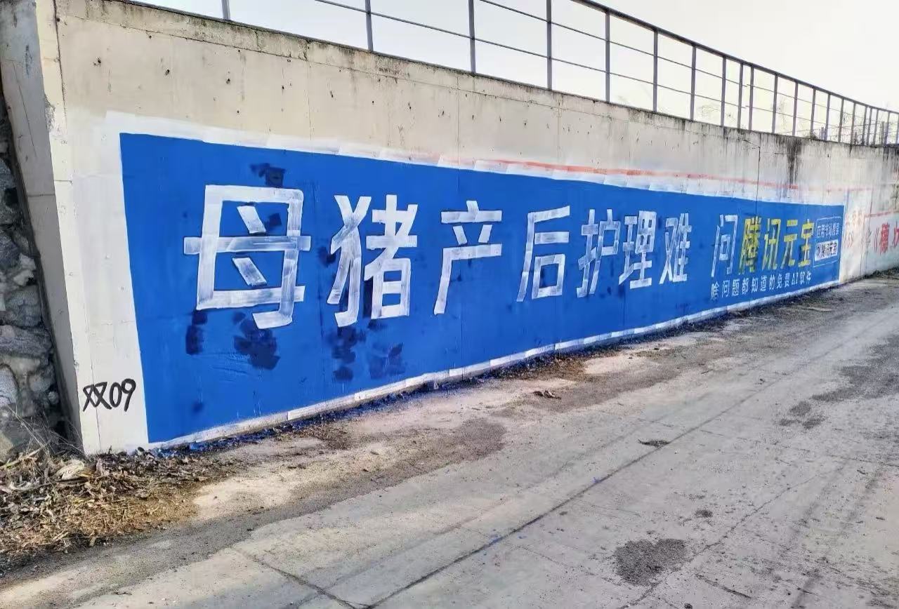 大模型C端争夺战：巨头下乡“刷墙”谁能造出下一个“超级应用”？(图1)