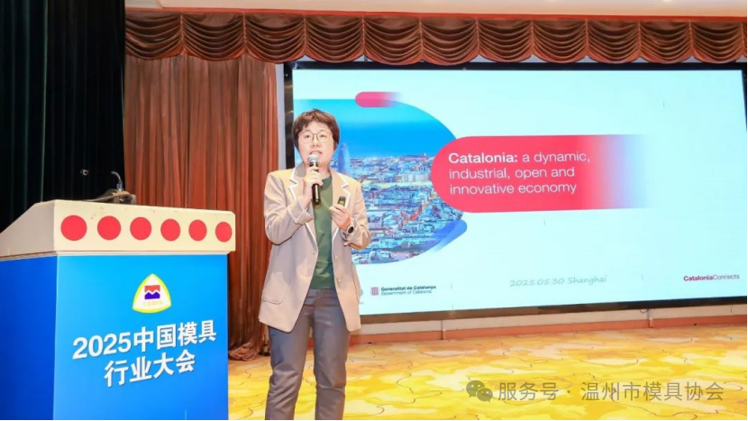 2025中国模具买球网站：盛会启幕温州模协深度融入谋产业升级(图5)