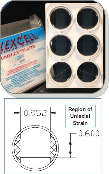 提供美国flexcell流体剪切力细胞剪切力买球网站：研究实验设备(图4)