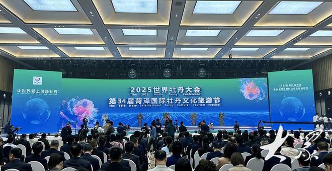 好一朵美丽的“富民花”——菏泽市牡丹产业高质量发展纪实(图3)