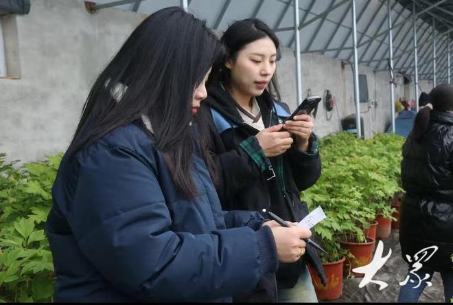 好一朵美丽的“富民花”——菏泽市牡丹产业高质量发展纪实(图5)