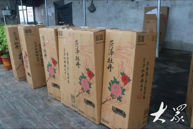 好一朵美丽的“富民花”——菏泽市牡丹产业高质量发展纪实(图6)