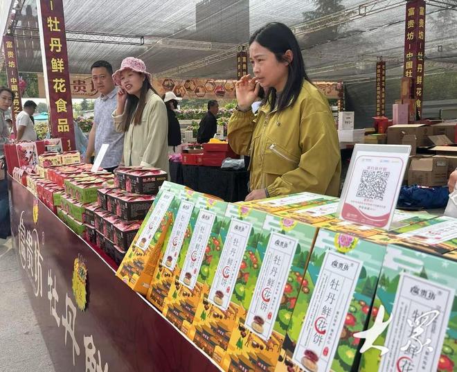好一朵美丽的“富民花”——菏泽市牡丹产业高质量发展纪实(图10)