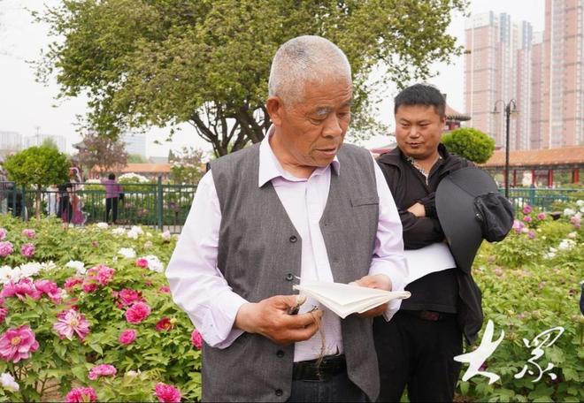 好一朵美丽的“富民花”——菏泽市牡丹产业高质量发展纪实(图8)