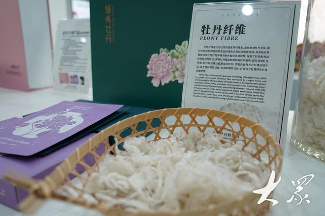 好一朵美丽的“富民花”——菏泽市牡丹产业高质量发展纪实(图12)