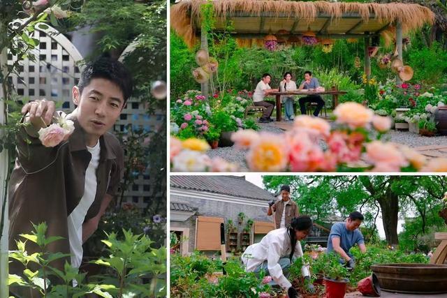 买球的app:节目《花开中国》播出看科技如何重塑传统花卉产业(图2)