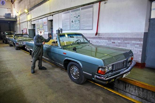 特别车库中的独特仪仗用“海鸥”GAZ-14-05型号的豪十大买球平台：华轿车(图4)
