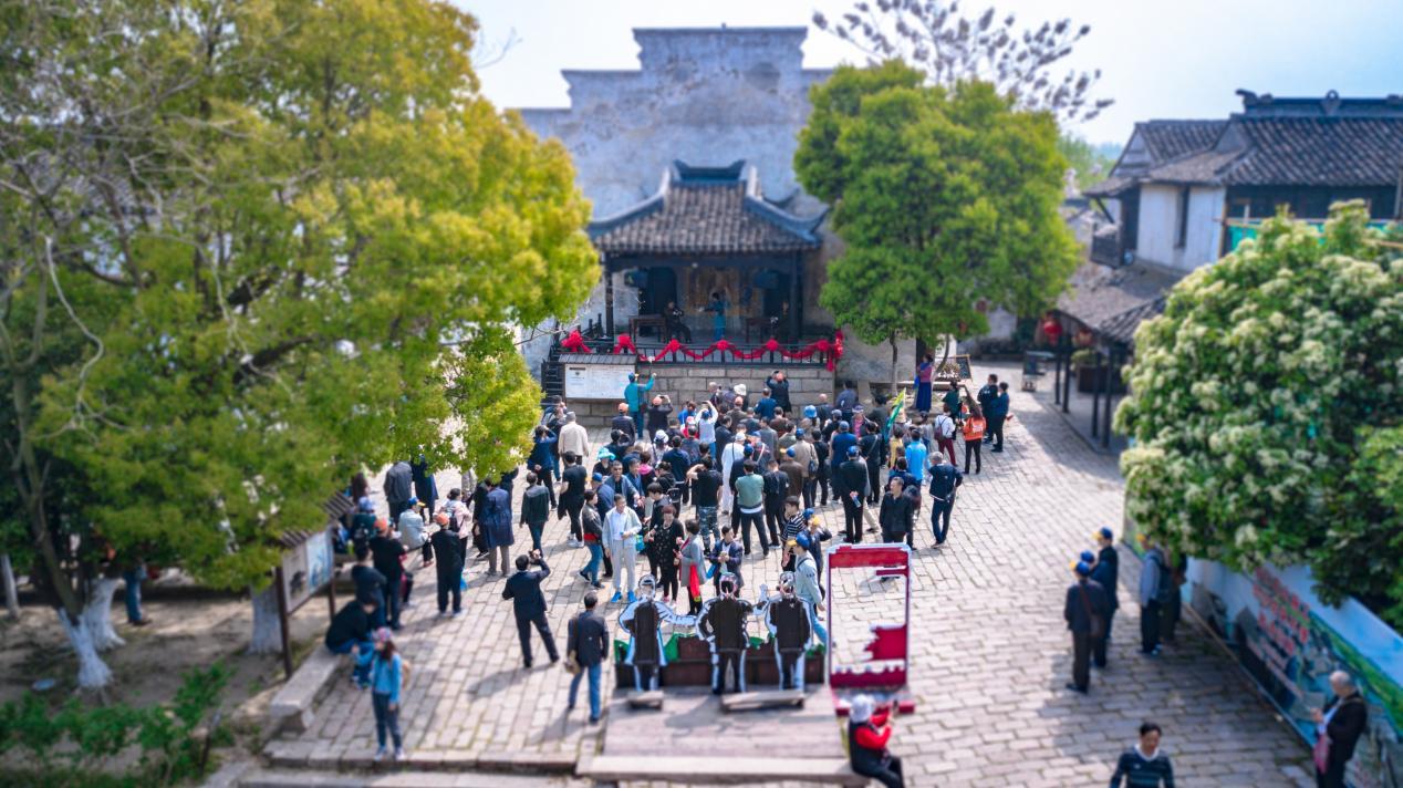 十大买球平台：常熟沙家浜镇：红绿交融绘就“新”时代(图5)