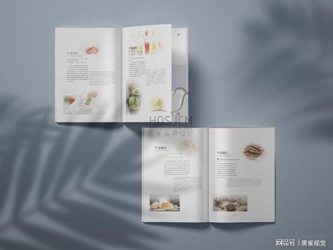 昆山产品画册定制设计与印刷(图2)