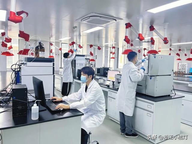 台州建设：市区算力沃土催生产业“智变”(图4)