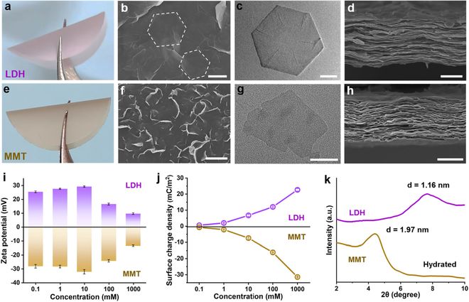 北京工业大学张倩倩教授：具有相反离子选择性的二维黏土纳流体对构建盐差电池十大买球平台：(图1)