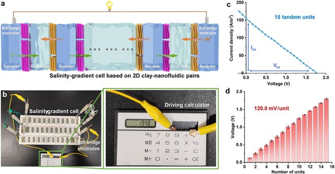 北京工业大学张倩倩教授：具有相反离子选择性的二维黏土纳流体对构建盐差电池十大买球平台：(图3)