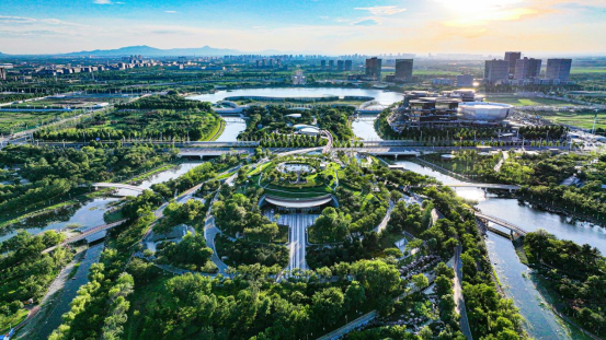 央媒观豫｜GDP增长111%郑州航空港的经济做对了什么？(图3)