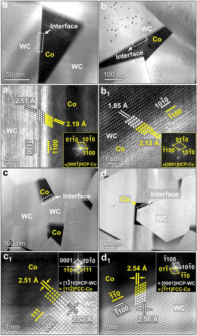 北京工业大学最新《ActaMaterialia》：超低金属含量硬质合金的同步高强韧化！买球网站：(图6)