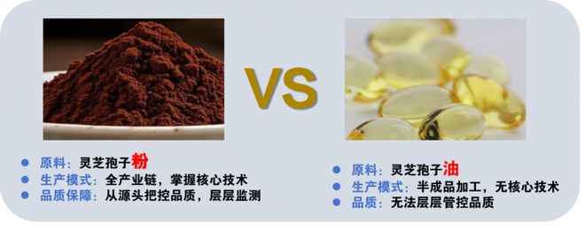 灵芝孢子油效果好吗？原料决定上限全环节管控决定下限(图1)