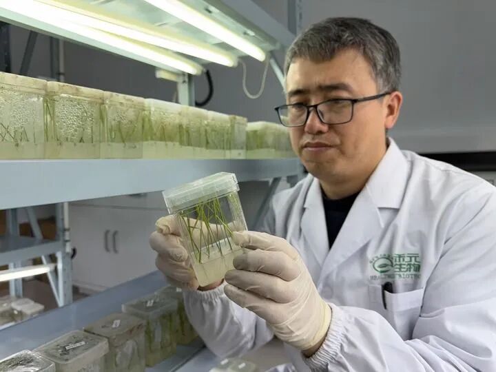 2025年武汉十大企业新闻发布武汉企业攀高向新首台首套首次竞相涌现(图6)