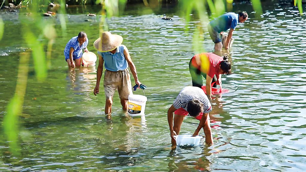 蹲点十村看乡村振兴再出发(图1)