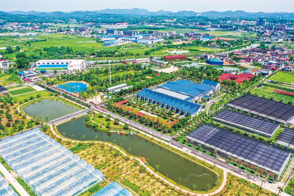 蹲点十村看乡村振兴再出发(图2)