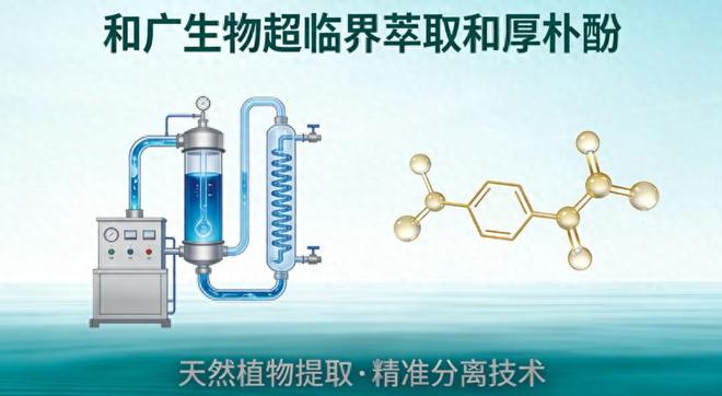 天然、安全、高效—和广生物超临界技术赋能和厚朴酚产业发展(图1)