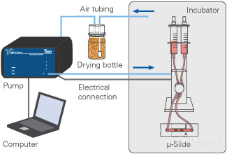 ibidi流体剪切力系统(图1)